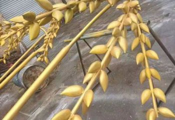 水景水稻雕塑厂家 风景区几何雕塑厂家 广场小品