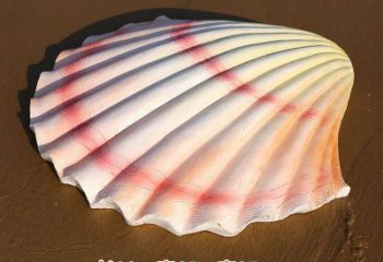 贝壳雕塑，玻璃钢贝壳雕塑，海洋生物雕塑摆件 (2)