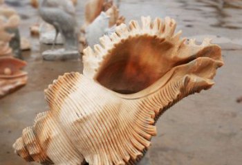 贝壳雕塑，玻璃钢贝壳雕塑，海洋生物雕塑摆件 (3)