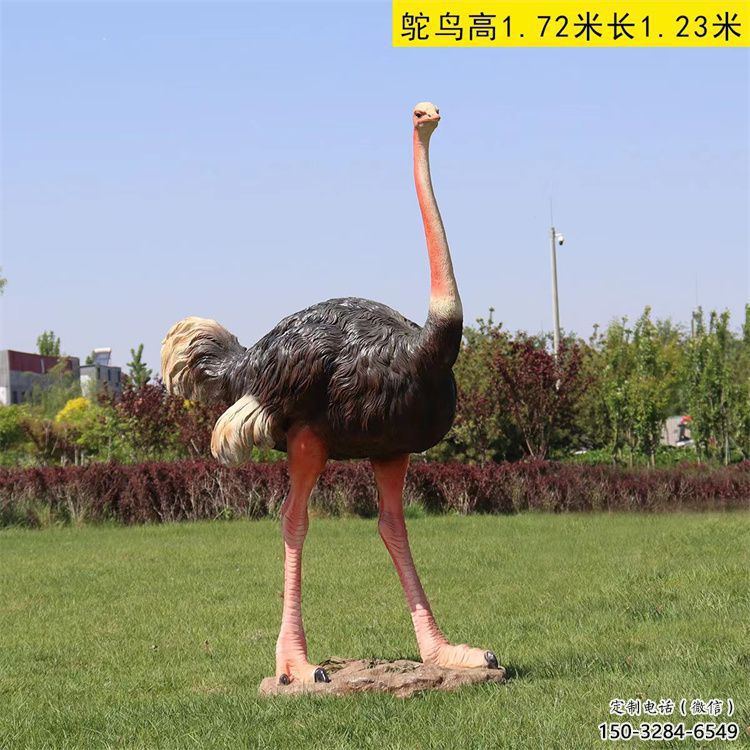 玻璃钢仿真鸵鸟雕塑厂家，公园广场动物，大型园林小品