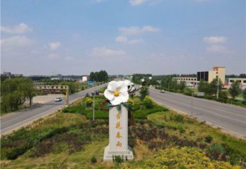 杏花雕塑常用，景观概念，不锈钢杏花雕塑厂家